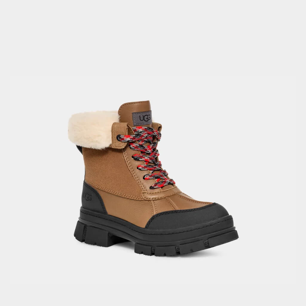 Ugg Ashton Addie Chestnut