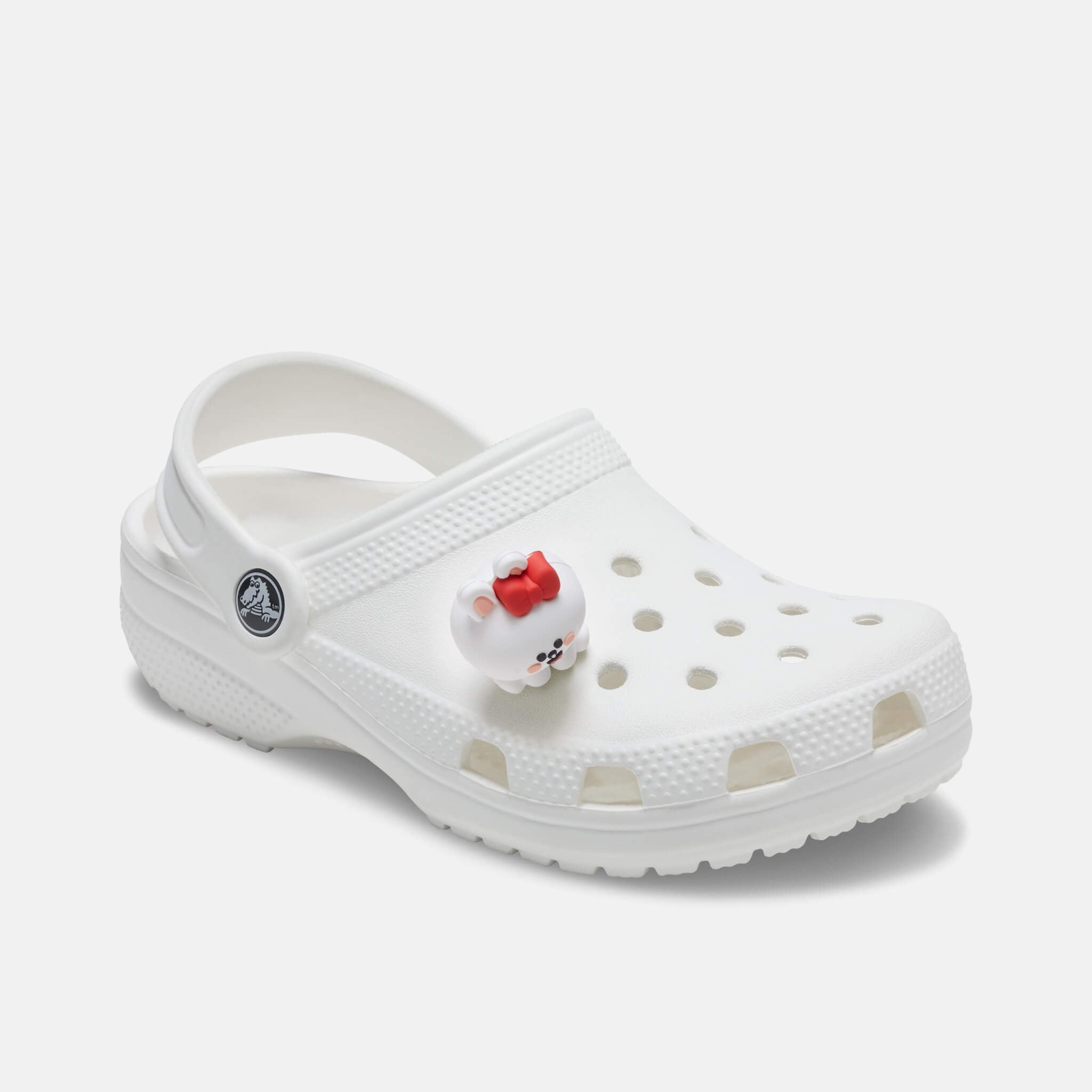 Jibbitz Charms Line Friends